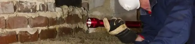 Pest control technician inspecting a crawl space for ant activity and entry points in Tampa, FL