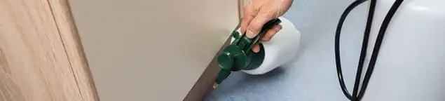 Bed bug exterminator treating baseboards and cracks with targeted spray in Tampa, FL