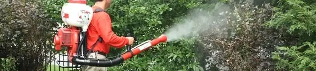 Mosquito control technician fogging shrubs and landscaping for mosquito treatment in Tampa, FL