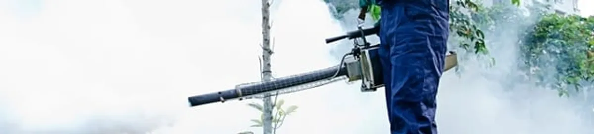 Pest control technician fogging an outdoor area for insect control in Tampa, FL
