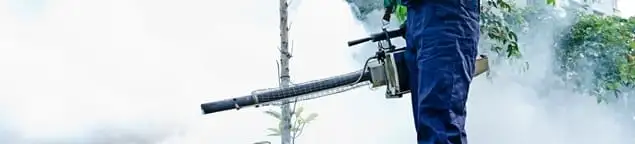 Pest control technician fogging an outdoor area for insect control in Tampa, FL