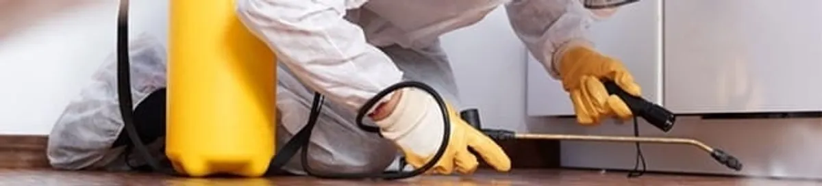 Roach exterminator treating cracks and crevices along kitchen baseboards in Tampa, FL