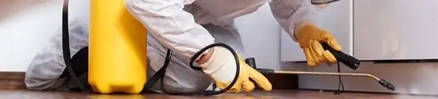 Roach exterminator treating cracks and crevices along kitchen baseboards in Tampa, FL
