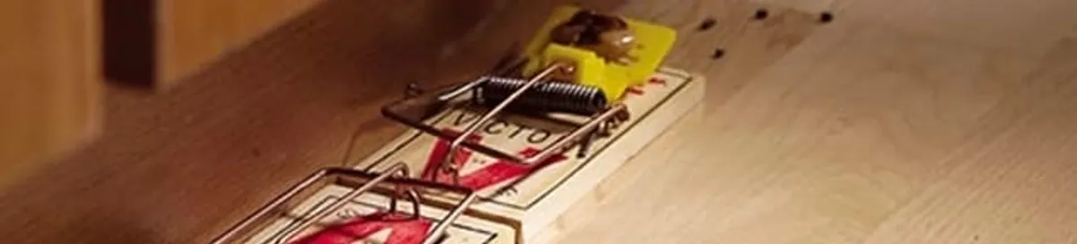 Rodent trap set indoors for rodent control and prevention in Tampa, FL